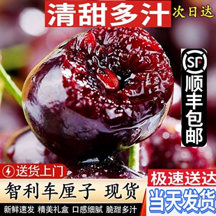 大连美早新鲜樱桃车厘子孕妇水果现摘现发红樱桃礼盒 顺丰空运