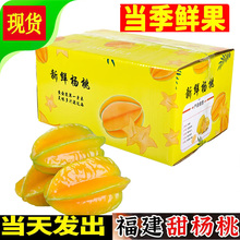 福建下河甜杨桃新鲜水果5斤礼盒装当季特大果红龙扬桃五角星洋桃