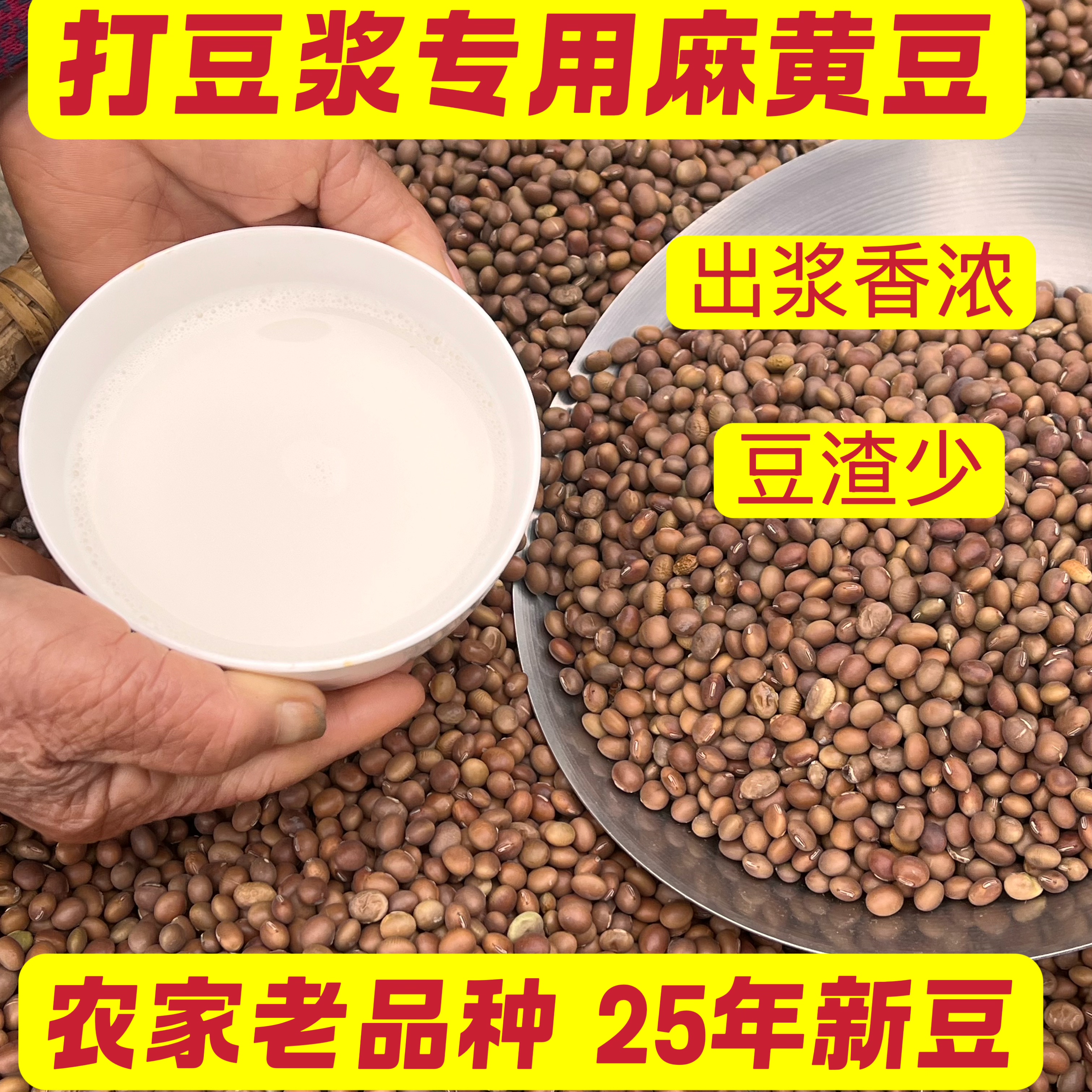 市场稀有的老品种麻黄豆打豆浆专用农家自种新豆湖南本地大豆杂粮