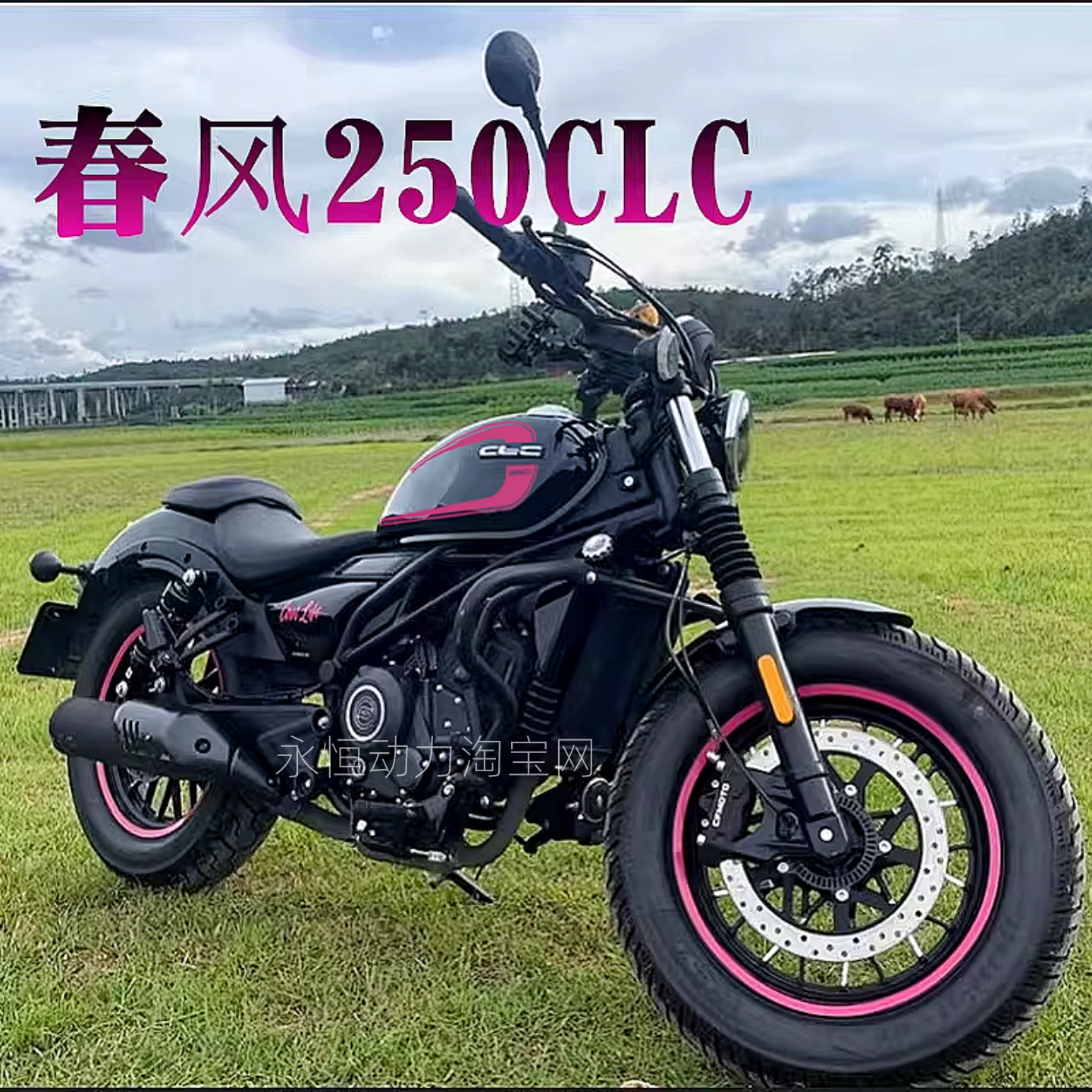 适用春风250CLC改色膜贴纸轮毂圈贴花个性防水摩托车改装油箱防滑