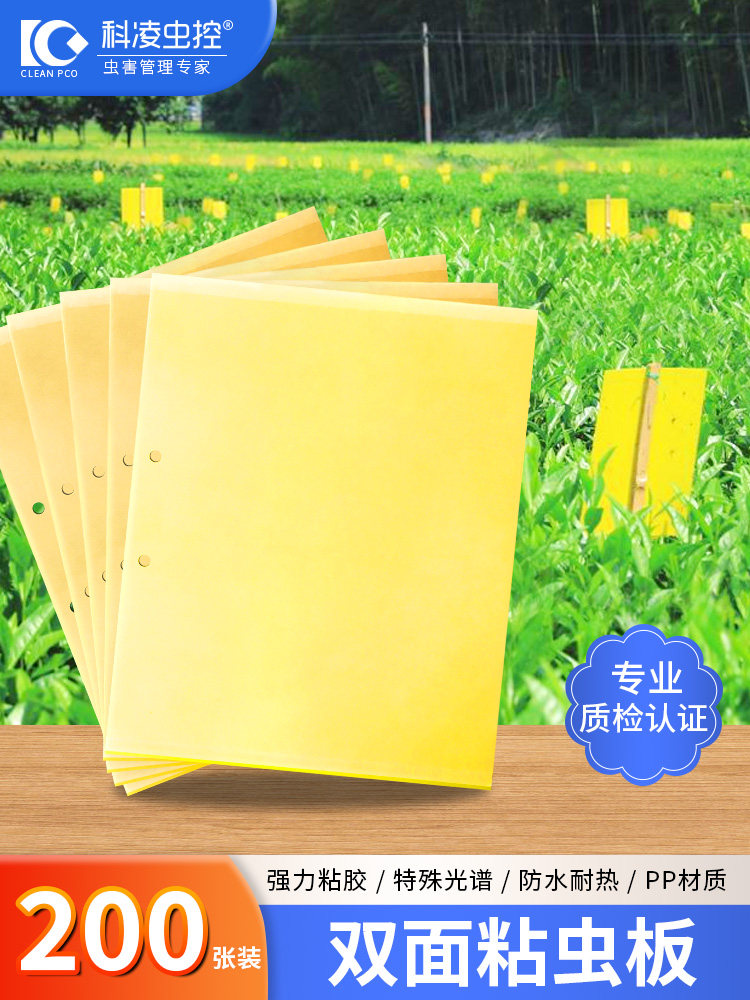 黄板双面粘虫板诱虫板纸贴黄色黏虫板灭小飞虫蓟马果园大棚 200张