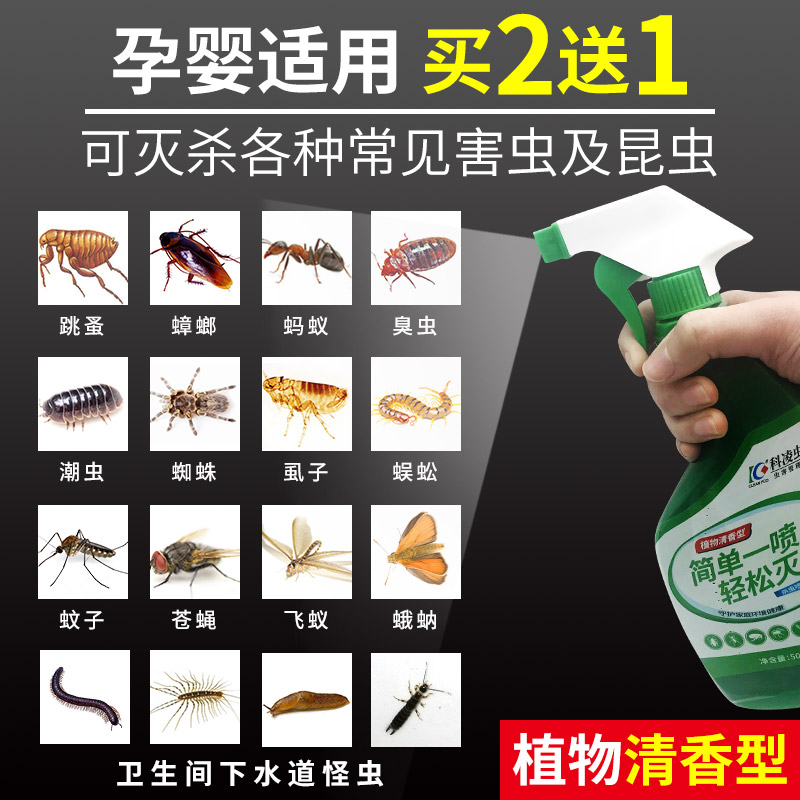 蚂蚁药