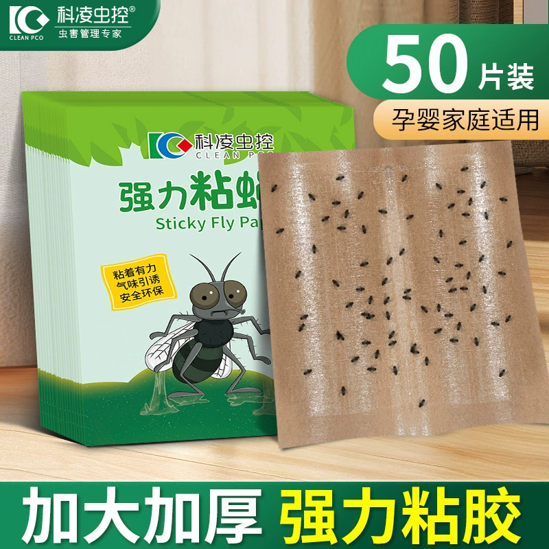 科凌虫控家用强力粘蝇纸苍蝇克星