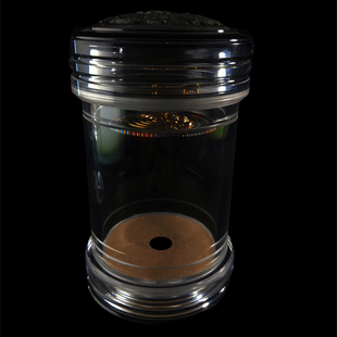 S149李勇罐65*125徐一舟青蛙簧蝈蝈鸣虫活体过冬亚克力透明有机罐