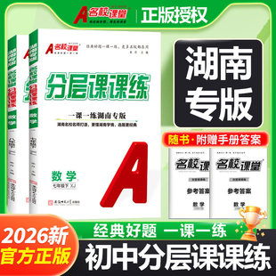 【湖南专版】2026春名校课堂初中一课一练分层课课练七年级八年级下册数学湘教版名师选题专项训练同步练习册辅导书