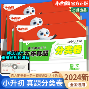 专项训练集锦万唯 2024版 小白鸥星空小升初分类卷真题卷重点中学招生五年真题分类语文数学英语六年级毕业总复习模拟卷必刷题人教版