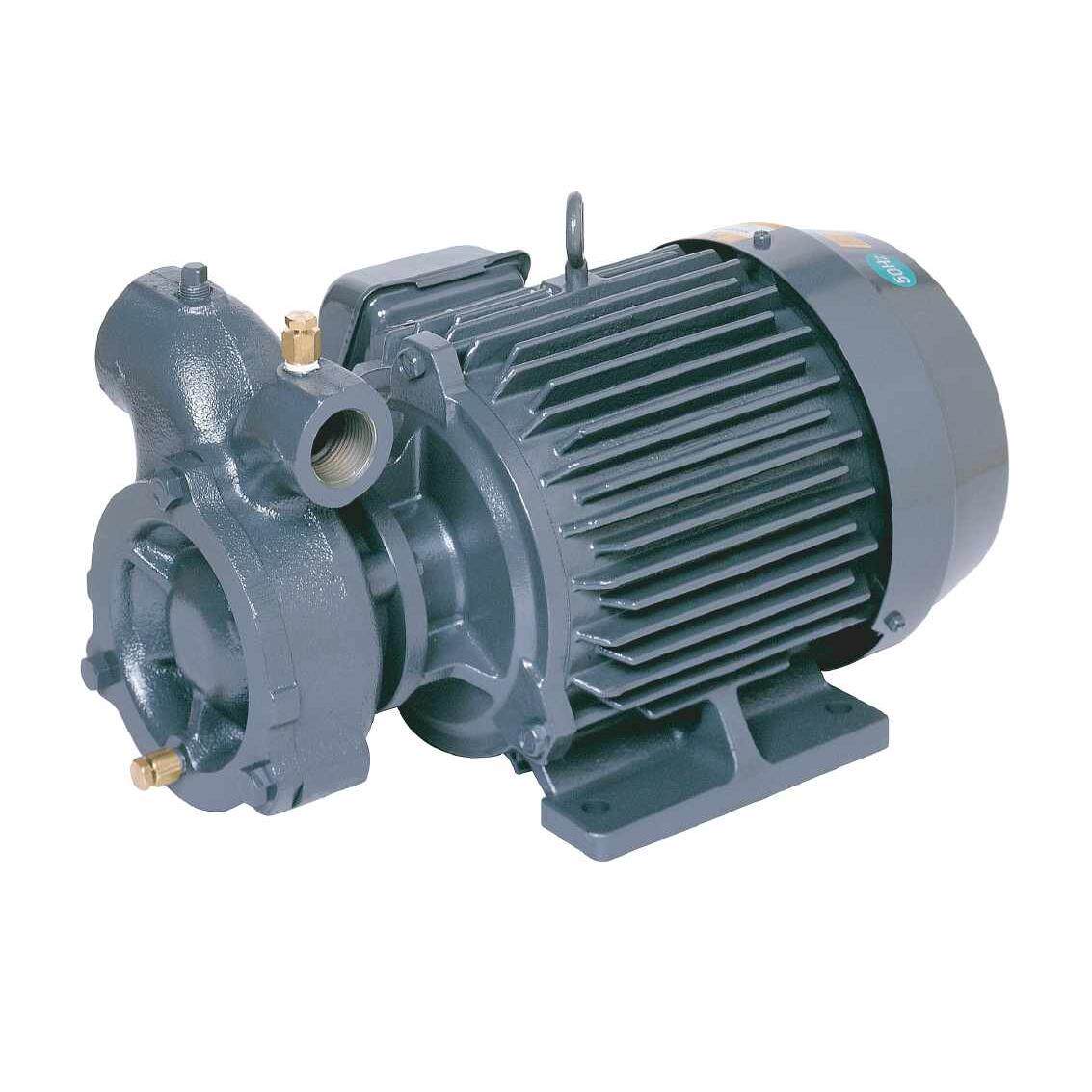 尼可尼nikuni涡流泵20hd5-02z 20fhd5-04z 20fhd5-07z 25fhd5-15z