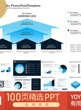 100页世界500强麦肯锡企业咨询管理分析建议波士顿矩阵PPT模板