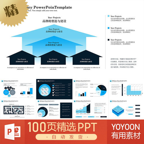 100页世界500强麦肯锡企业咨询管理分析建议波士顿矩阵PPT模板