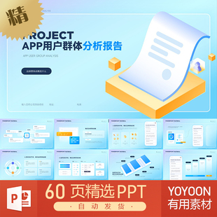 APP应用营销市场用户群体分析人群受众调查报告风投项目计划书PPT