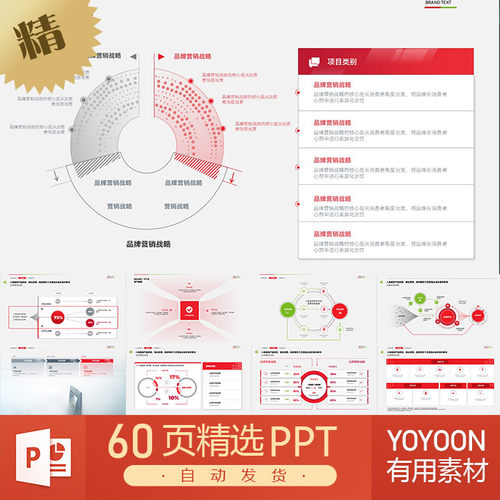 品牌运营市场营销产品经理产品报表课件教材教程数据PPT模板素材