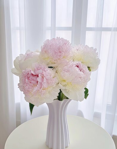 冰岛雪糕反季节芍药鲜花水瓶办公家庭插花菏泽基地直发顺丰包邮