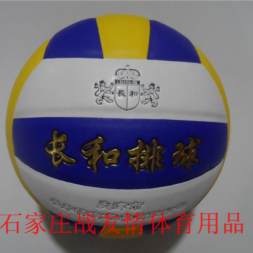 Ballon de volley-ball - Ref 2011605 Image 1