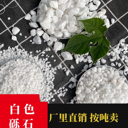 白色尖角碎石小白砾石园林装饰造景铺路日式庭院枯山水丁步填缝石