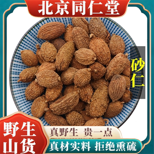 北京同仁堂野生特级砂仁中药材炖肉香料天然无硫包邮正品原料100g