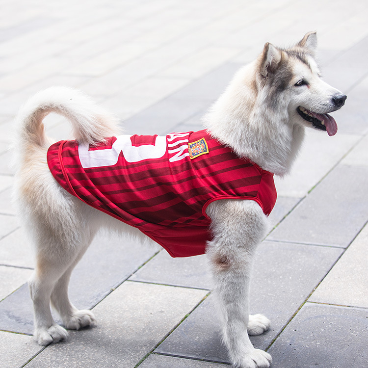 狗狗春夏大中小型犬金毛萨摩猫咪宠物网眼背心世界杯篮球衣服用品