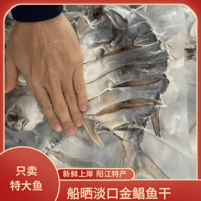 阳江自晒淡晒深海黄特鲳干金鲳鱼干仓鱼干海鲜渔民自晒干货海味