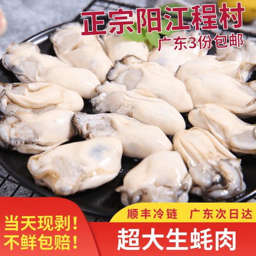 【现剥】正宗阳江超大生蚝肉特产海鲜牡蛎肉海蛎子肉鲜活现剥250g