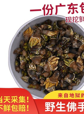 阳江佛手螺鬼爪螺鸡爪螺海鲜鸡脚螺狗爪螺龟足鹅颈藤壶 1斤顺丰