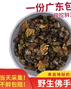阳江佛手螺鬼爪螺鸡爪螺海鲜鸡脚螺狗爪螺龟足鹅颈藤壶 1斤顺丰