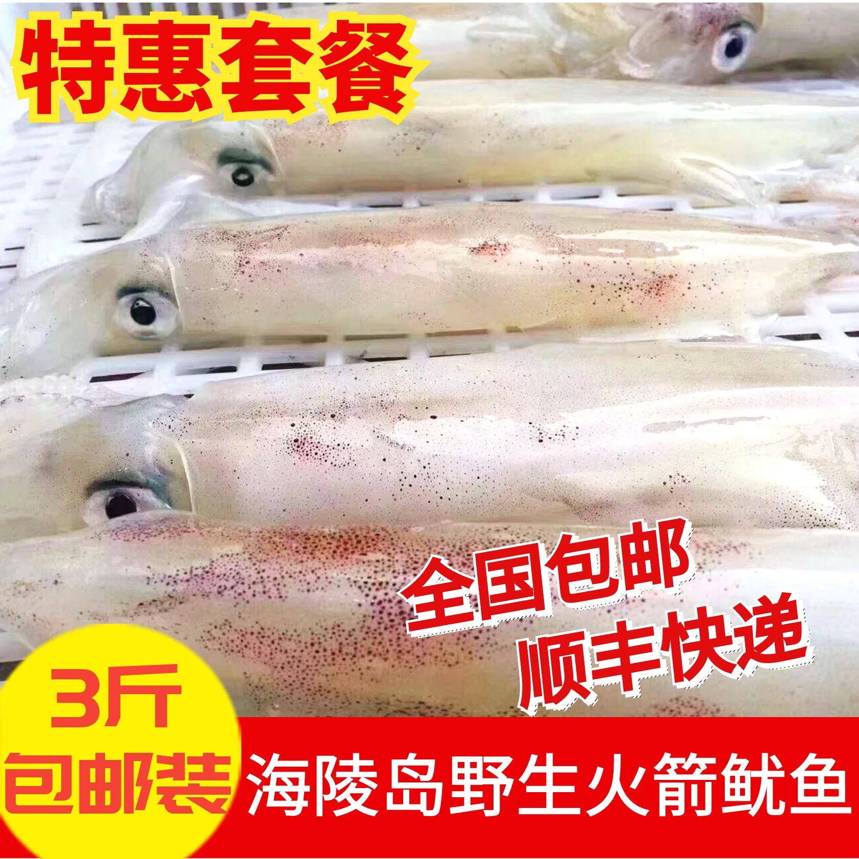 【当天捕捞】阳江海鲜特产新鲜海钓大管长筒鱿鱼乌贼海兔子3斤装