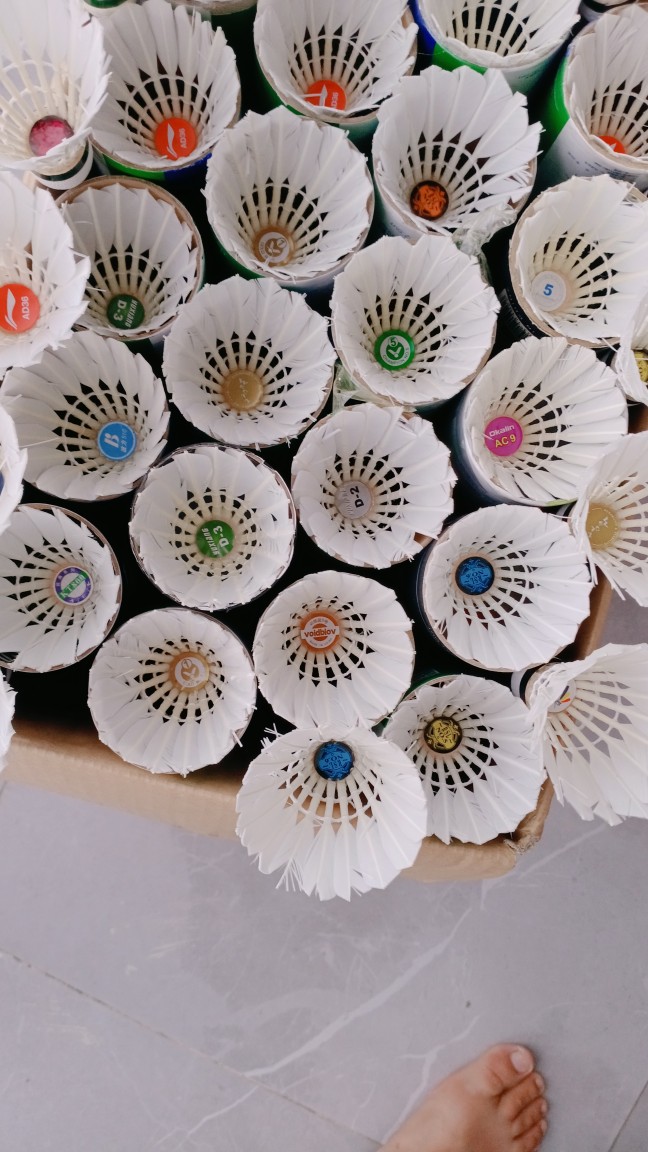 低价！二手羽毛球7成新不断毛旧羽毛球亚狮龙羽毛球胜利羽毛球