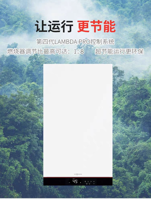 菲斯曼燃气采暖两用冷凝机壁挂炉