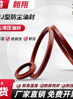 氟胶LBH40/45/48/50/53/55*48/53/56/58/61/63*6.5 DHS液压防尘圈