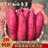 临安小香薯正宗杭州天目山板栗红薯新鲜现挖真正农家种植番薯山芋