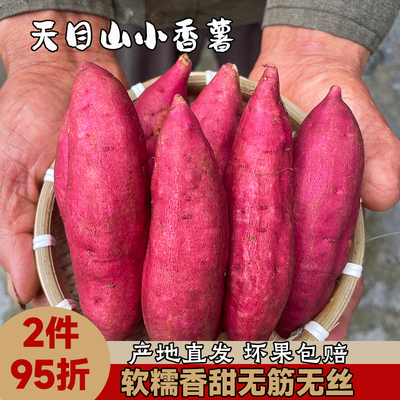 临安小香薯正宗杭州天目山板栗红薯新鲜现挖真正农家种植番薯山芋