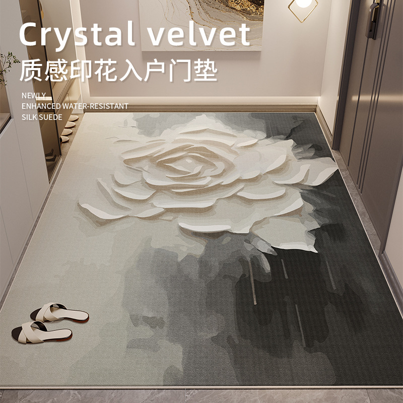 新欧式入户门地垫高级感进门玄关门入门垫家用脚垫防滑免打理地毯
