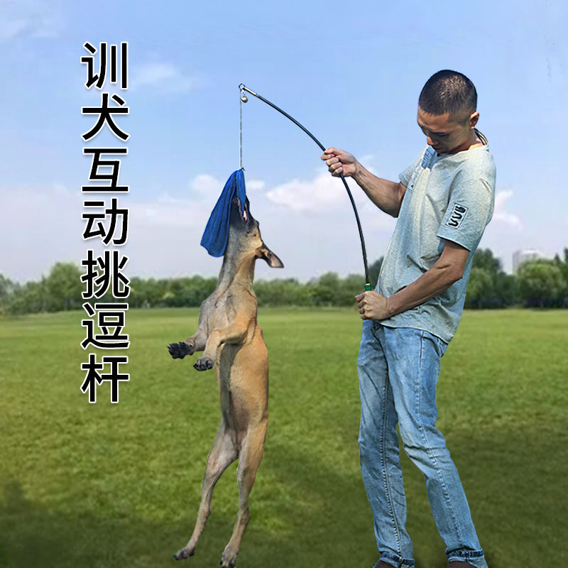 马犬德牧训犬挑逗杆逗引杆有韧性