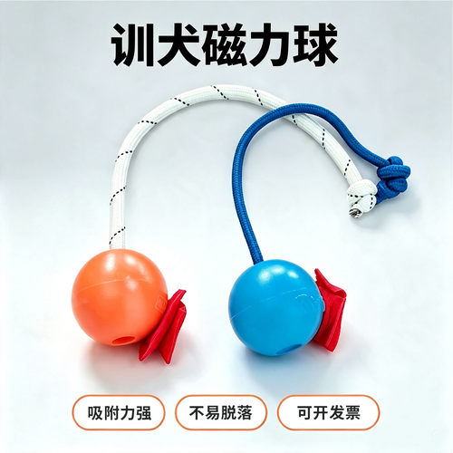 狗狗随行抬头磁力带绳训练球