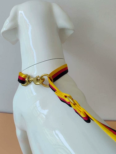 Обтягательная веревка для собак с p -in in -in -nelon allar