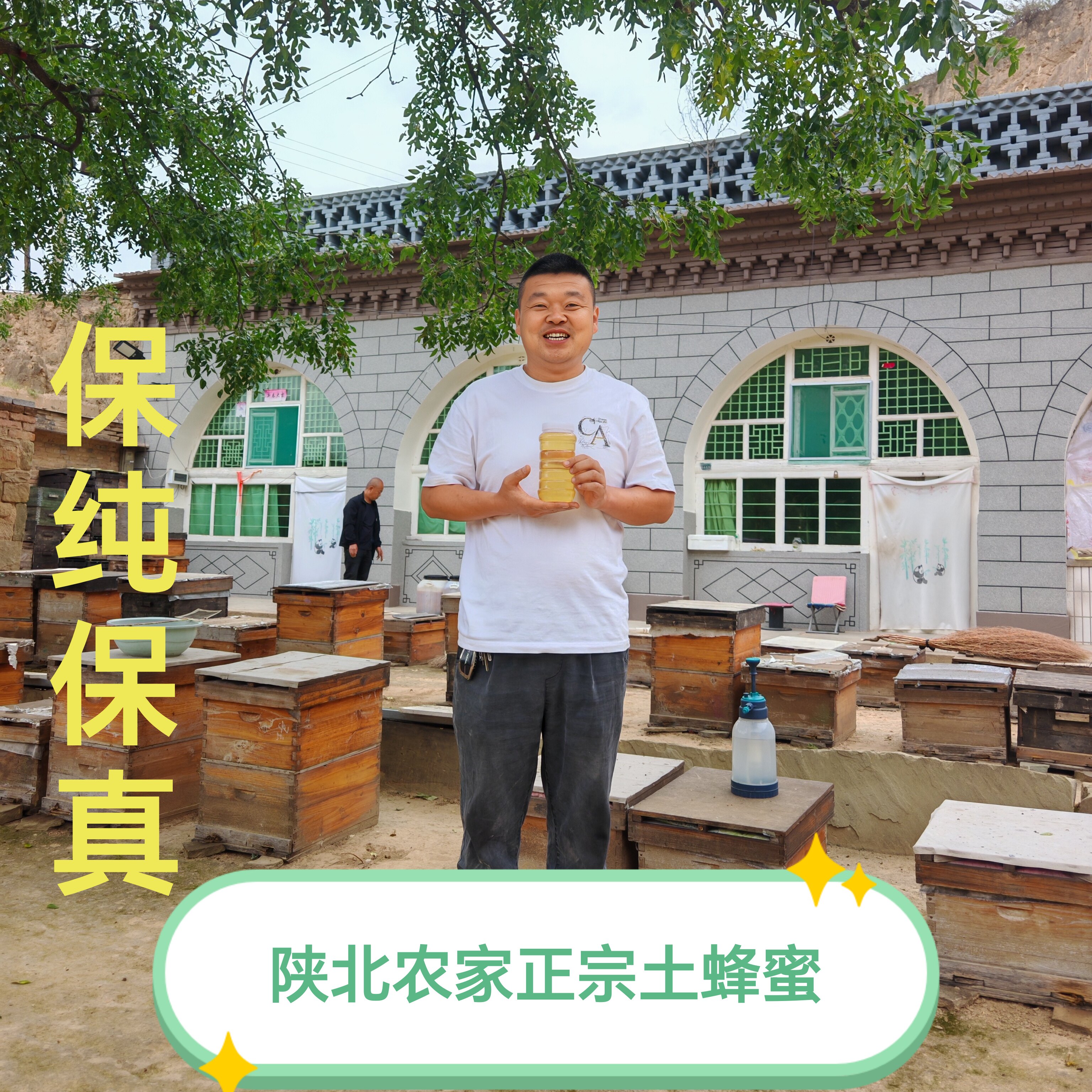 陕北农家自家养的土蜂蜜枣花蜜黄芩蜜