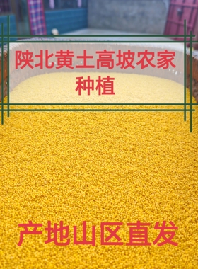 25年新米陕北黄土高坡纯人工种植猪羊粪米脂黄小米五斤