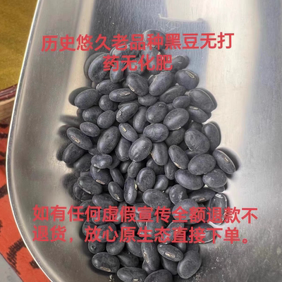陕北农户家原生态老品种肾形黑豆榨豆浆发豆芽黄心黑豆