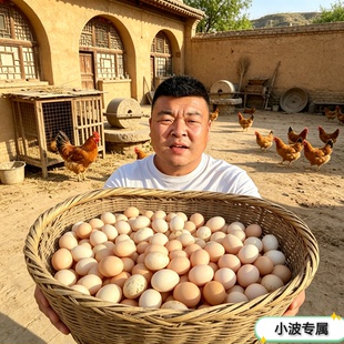 农家土鸡蛋食喂米糠玉米渣剩菜剩饭