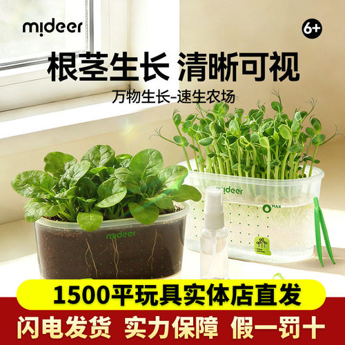 mideer弥鹿儿童速生农场植物种植
