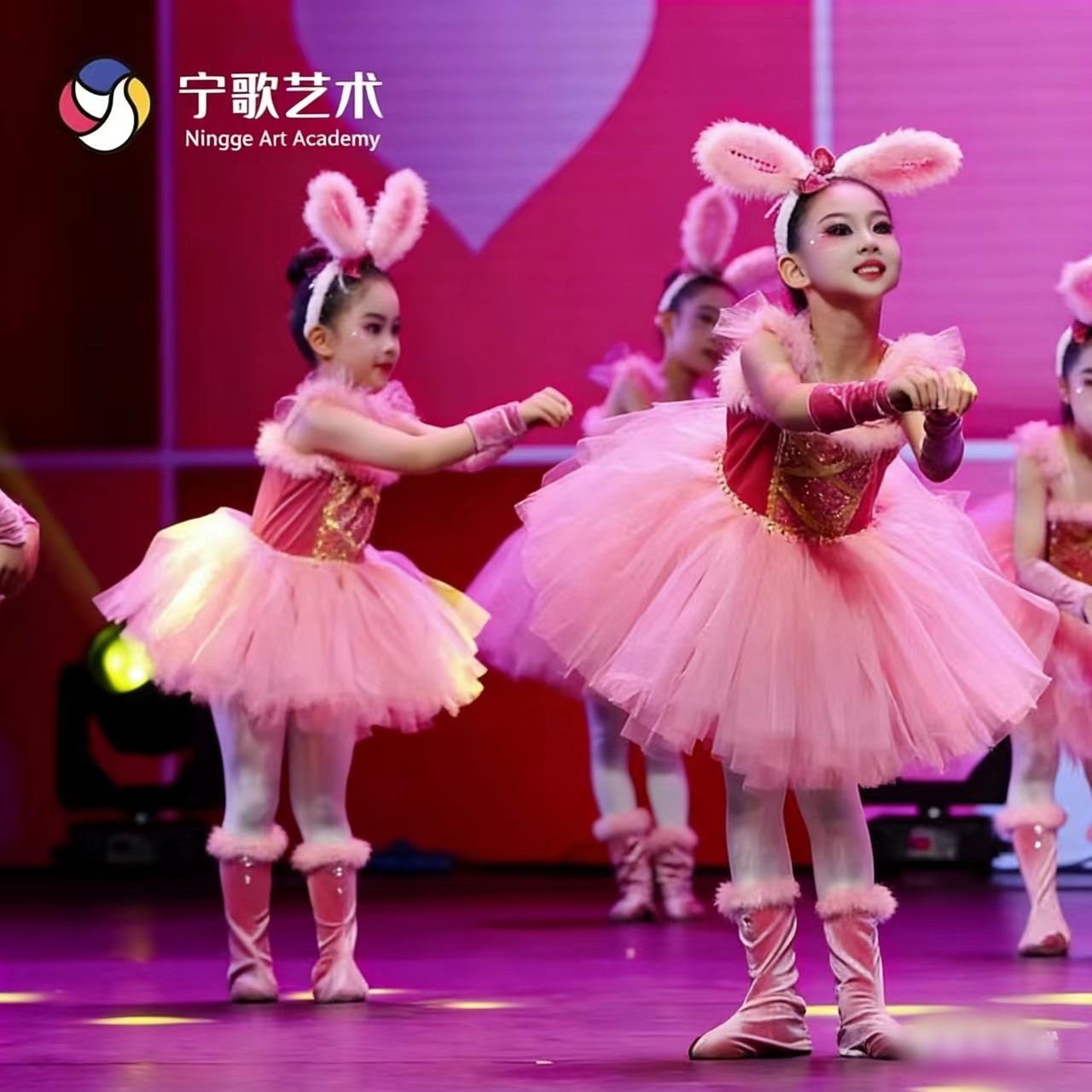 儿童动物表演服女童粉红小猪兔子小猫咪小狐狸舞蹈蓬蓬纱裙演出服