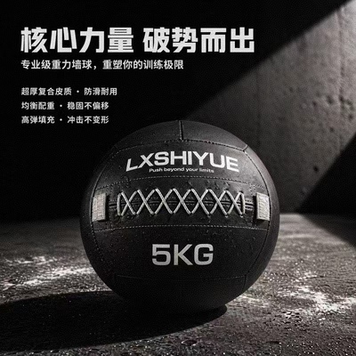 力行时跃5kg核心训练重球家用