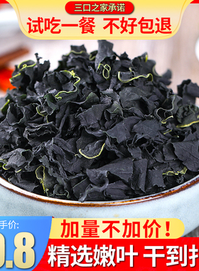 干裙带菜干货海带干货海白菜群代带菜非特级干货