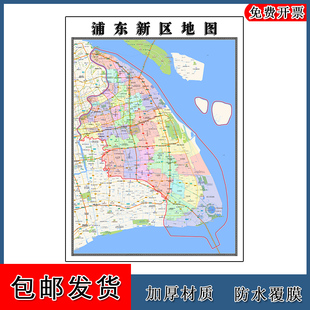 浦东新区地图高清贴图上海市彩色办公家用墙贴卫星