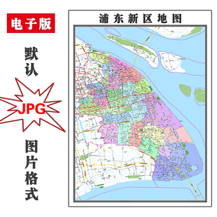 浦东新区地图可特殊定制上海市JPG格式电子版高清图片年路线