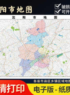 2025年沈阳市行政地图街道墙壁贴超大装饰画实物定制路线