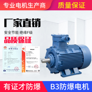 YB3 110KW YBX3三相异步防爆电动机BT4国标铜芯交流电机马达0.12