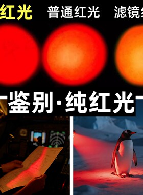 纯红光夜航夜行查蜂夜观手电筒