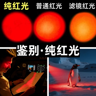 纯红光手电筒 充电变焦暗红 夜观宠物 飞行夜航 观星夜行 养蜂