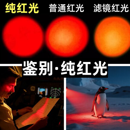 纯红光手电筒 充电变焦暗红 夜观宠物 飞行夜航 观星夜行 养蜂
