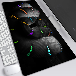 Snake蛇鼠标垫眼镜蛇爬行类动物周边超大锁边桌垫游戏办公键盘垫